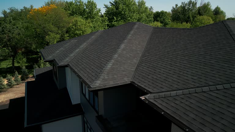 Best Roof Moss and Algae Removal  in , DC