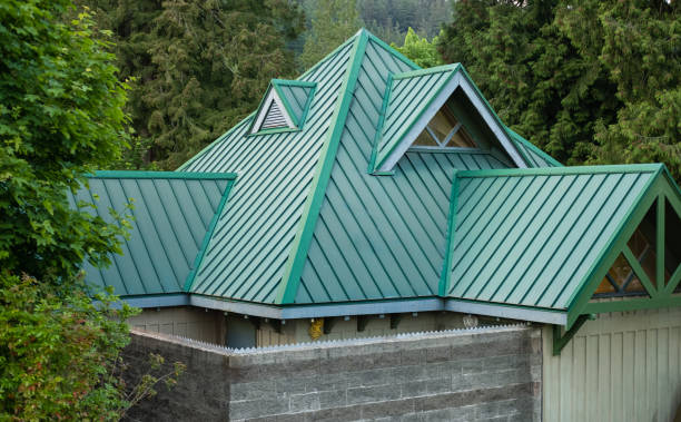 Best Green or Eco-Friendly Roofing Solutions  in , DC