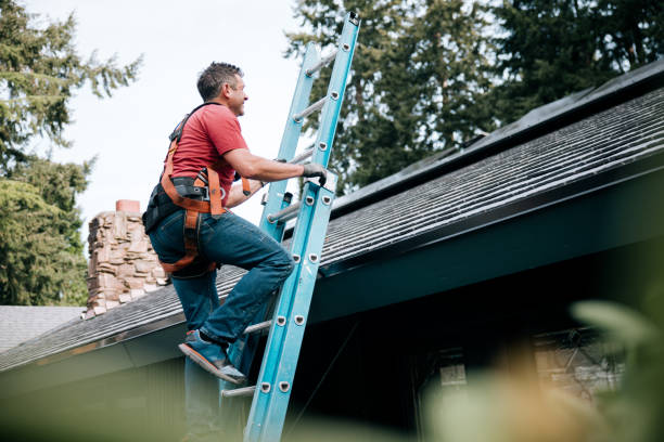 Best Cold Roofs  in , DC